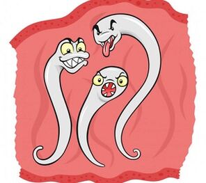 jakie pasożyty mogą żyć w organizmie człowieka