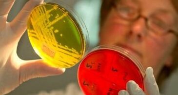 diagnostyka pasożytów w organizmie